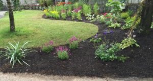 Border in Glenstal - Buckley Landscaping