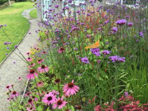 Summer planting flowers Back yard design - Buckley Landscaping