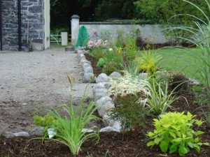 Country style planting in Boher Co. Limerick - Buckley Landscaping