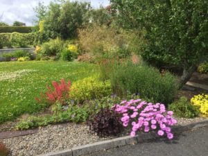 Grasses, Perennials, Nenagh, Co. Tipperary - Buckley Landscaping