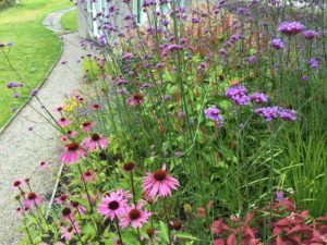Herbaceous- Border in Nenagh, Co. Tipperary, - Buckley Landscaping