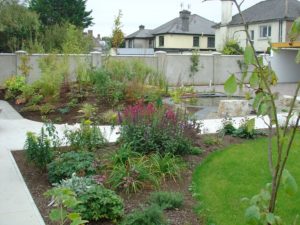 Mixed Planting Gardening - Ennis, Co. Clare - Buckley Landscaping