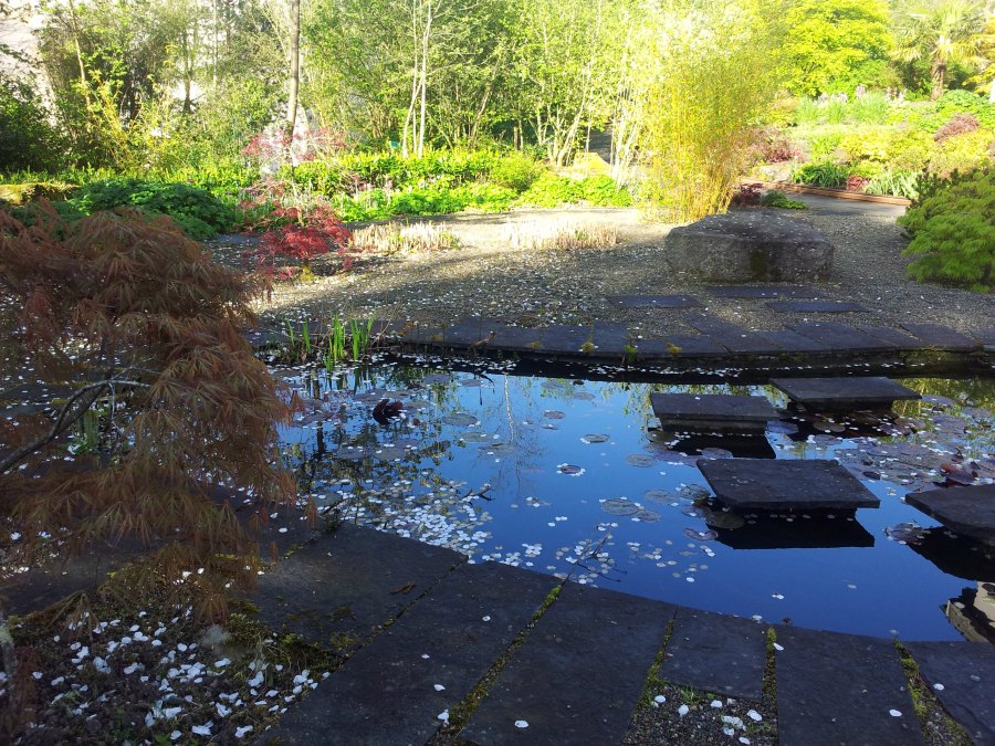 Pond Creation - Buckley Landscaping