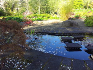 Hard Landscaping and design, pond creation - Buckley Landscaping
