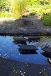 Pond with Acers - Buckley Landscaping