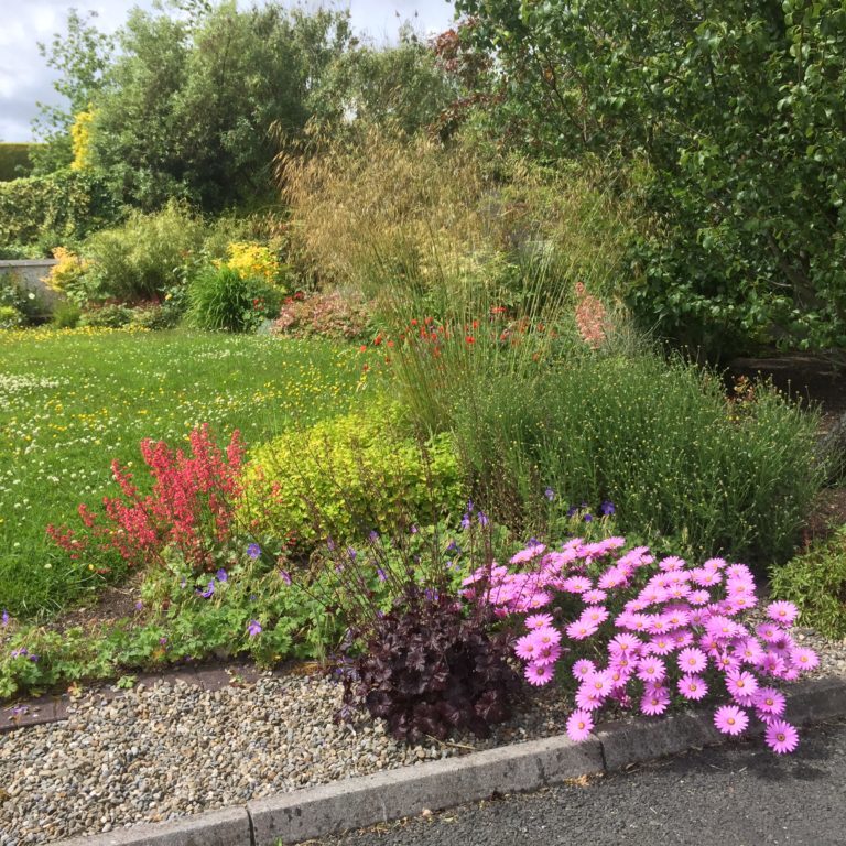 Brighten up your garden with - Buckley Landscaping