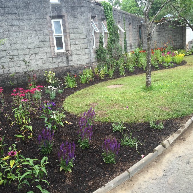 Soft Landscaping with a range of plants - Buckley Landscaping